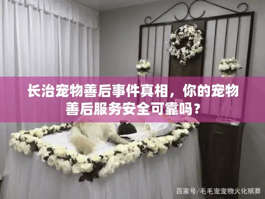 长治宠物善后事件真相，你的宠物善后服务安全可靠吗？