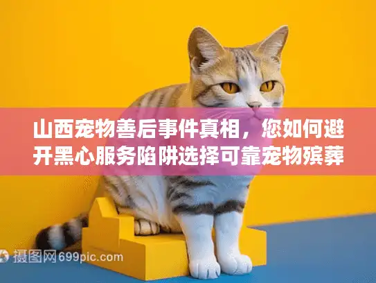 山西宠物善后事件真相，您如何避开黑心服务陷阱选择可靠宠物殡葬？