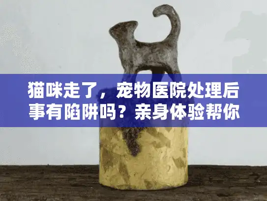 猫咪走了，宠物医院处理后事有陷阱吗？亲身体验帮你躲过坑