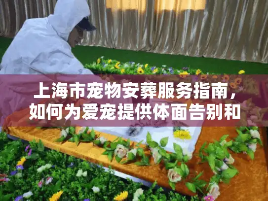 上海市宠物安葬服务指南，如何为爱宠提供体面告别和合规解决方案？