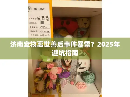 济南宠物离世善后事件暴雷？2025年避坑指南