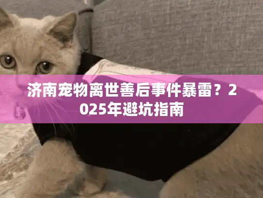 济南宠物离世善后事件暴雷？2025年避坑指南