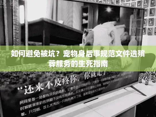 如何避免被坑？宠物身后事规范文件选殡葬服务的生死指南