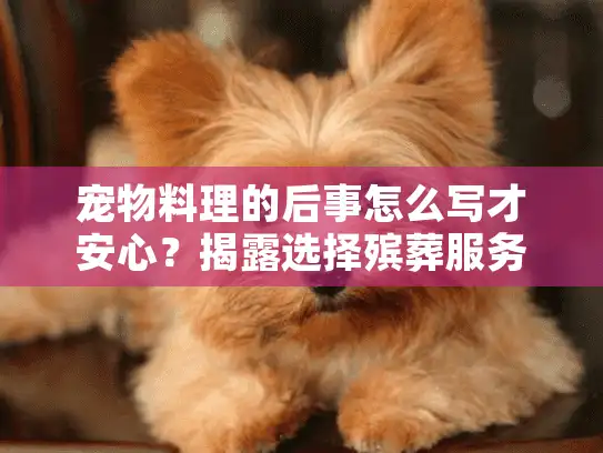 宠物料理的后事怎么写才安心？揭露选择殡葬服务的5大误区和精准对策