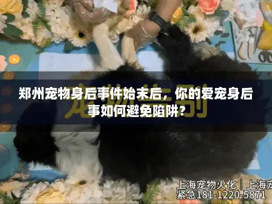 郑州宠物身后事件始末后，你的爱宠身后事如何避免陷阱？