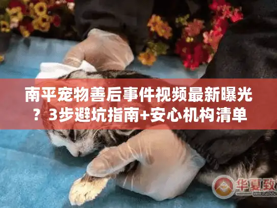 南平宠物善后事件视频最新曝光？3步避坑指南+安心机构清单