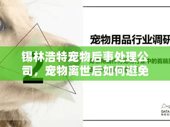锡林浩特宠物后事处理公司，宠物离世后如何避免遗憾告别？