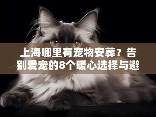 上海哪里有宠物安葬？告别爱宠的8个暖心选择与避坑指南
