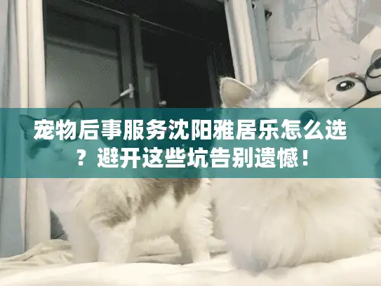 宠物后事服务沈阳雅居乐怎么选？避开这些坑告别遗憾！