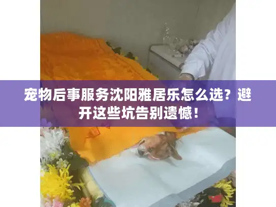 宠物后事服务沈阳雅居乐怎么选？避开这些坑告别遗憾！