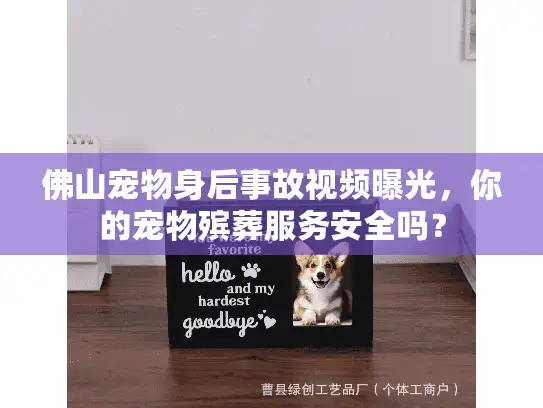 佛山宠物身后事故视频曝光，你的宠物殡葬服务安全吗？