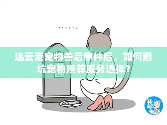 连云港宠物善后事件后，如何避坑宠物殡葬服务选择？