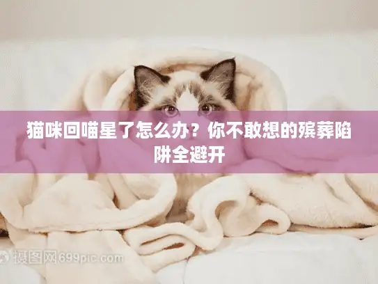 猫咪回喵星了怎么办？你不敢想的殡葬陷阱全避开
