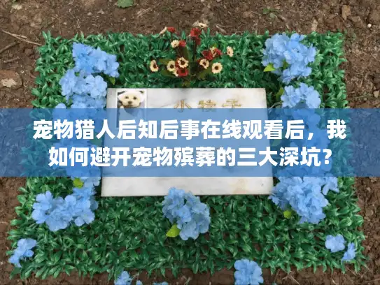 宠物猎人后知后事在线观看后，我如何避开宠物殡葬的三大深坑？