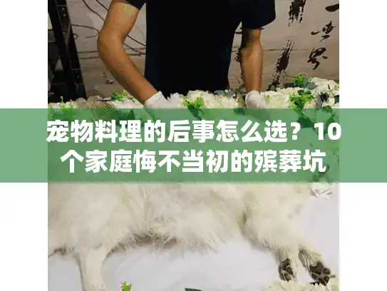 宠物料理的后事怎么选？10个家庭悔不当初的殡葬坑