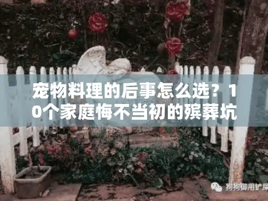 宠物料理的后事怎么选？10个家庭悔不当初的殡葬坑
