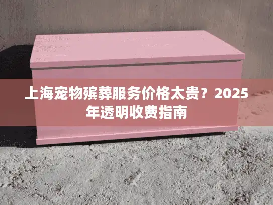 上海宠物殡葬服务价格太贵？2025年透明收费指南