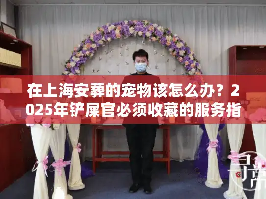 在上海安葬的宠物该怎么办？2025年铲屎官必须收藏的服务指南