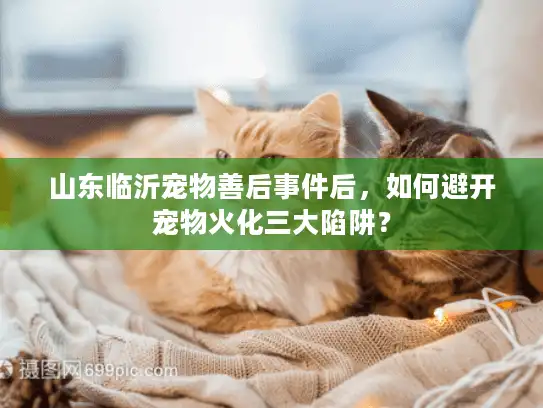 山东临沂宠物善后事件后，如何避开宠物火化三大陷阱？