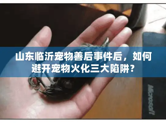 山东临沂宠物善后事件后，如何避开宠物火化三大陷阱？