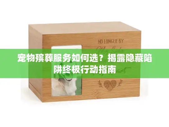 宠物殡葬服务如何选？揭露隐藏陷阱终极行动指南