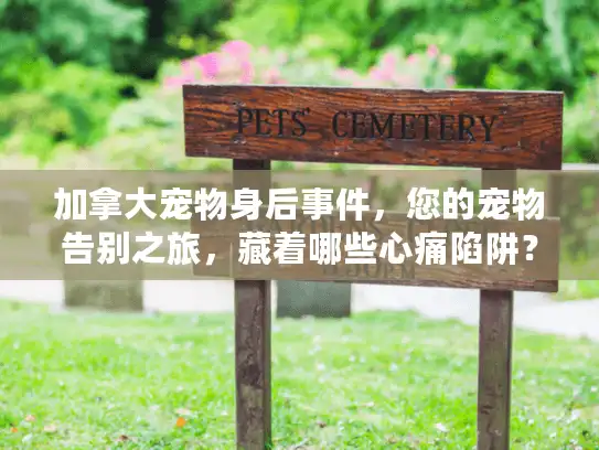 加拿大宠物身后事件，您的宠物告别之旅，藏着哪些心痛陷阱？
