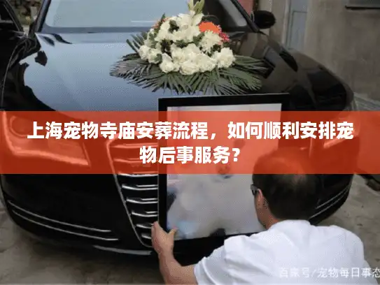 上海宠物寺庙安葬流程，如何顺利安排宠物后事服务？