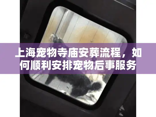 上海宠物寺庙安葬流程，如何顺利安排宠物后事服务？