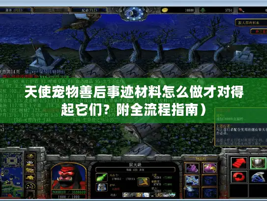 天使宠物善后事迹材料怎么做才对得起它们？附全流程指南）