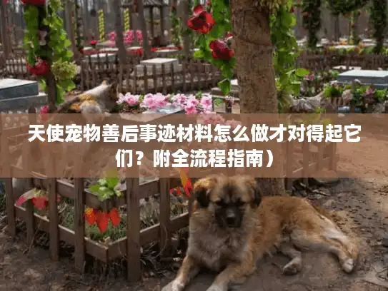 天使宠物善后事迹材料怎么做才对得起它们？附全流程指南）