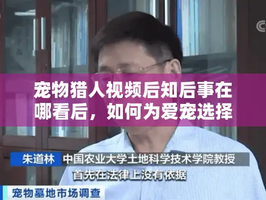 宠物猎人视频后知后事在哪看后，如何为爱宠选择专业殡葬服务？