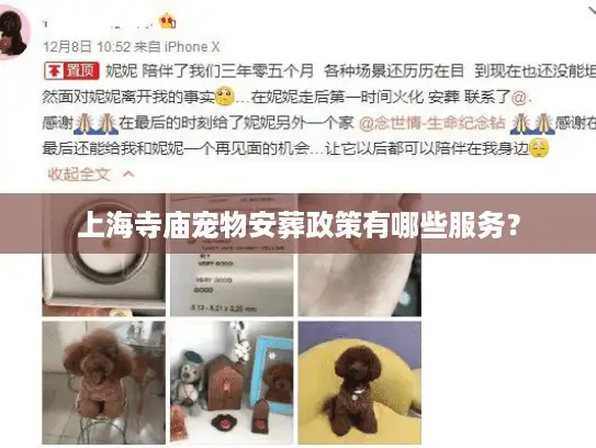 上海寺庙宠物安葬政策有哪些服务？