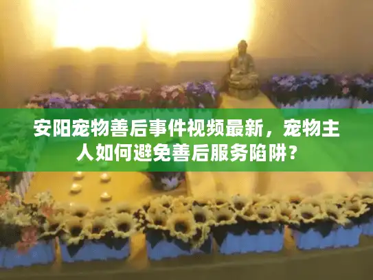 安阳宠物善后事件视频最新，宠物主人如何避免善后服务陷阱？