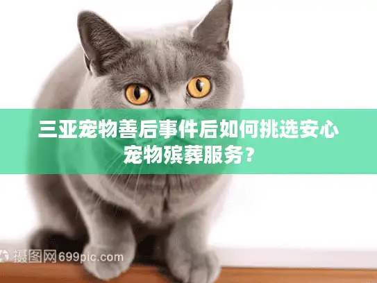 三亚宠物善后事件后如何挑选安心宠物殡葬服务？
