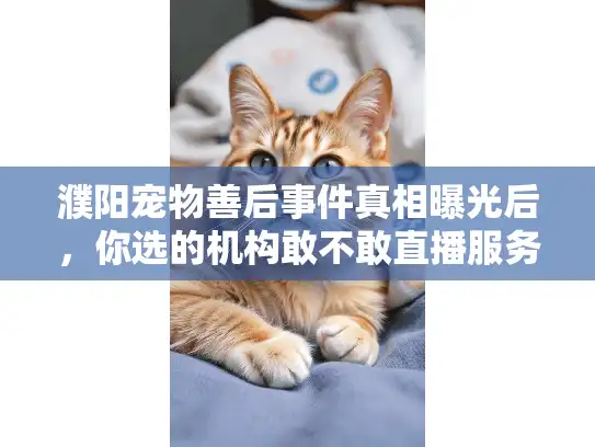 濮阳宠物善后事件真相曝光后，你选的机构敢不敢直播服务全程？