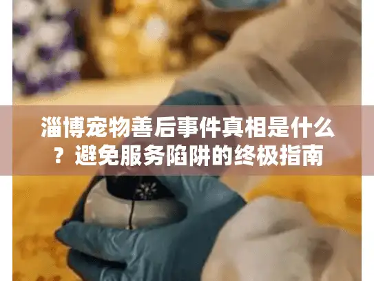 淄博宠物善后事件真相是什么？避免服务陷阱的终极指南