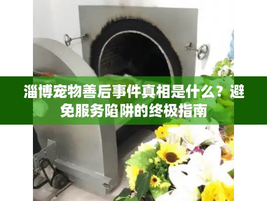 淄博宠物善后事件真相是什么？避免服务陷阱的终极指南