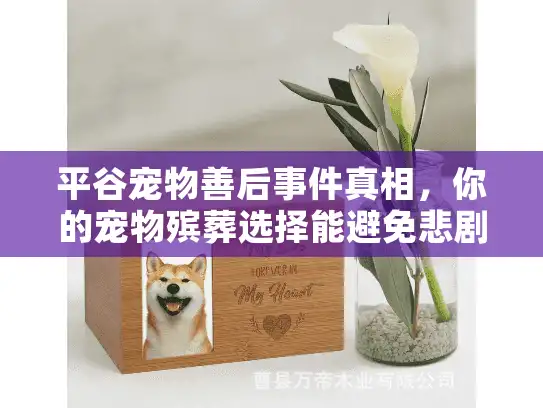 平谷宠物善后事件真相，你的宠物殡葬选择能避免悲剧吗？