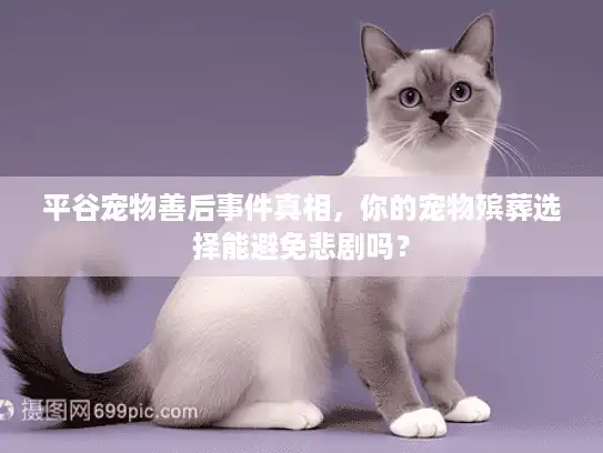 平谷宠物善后事件真相，你的宠物殡葬选择能避免悲剧吗？