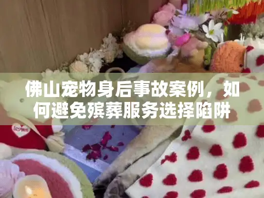 佛山宠物身后事故案例，如何避免殡葬服务选择陷阱？