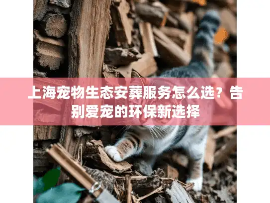 上海宠物生态安葬服务怎么选？告别爱宠的环保新选择