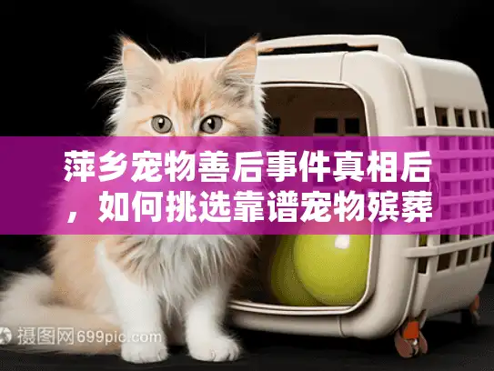 萍乡宠物善后事件真相后，如何挑选靠谱宠物殡葬服务？