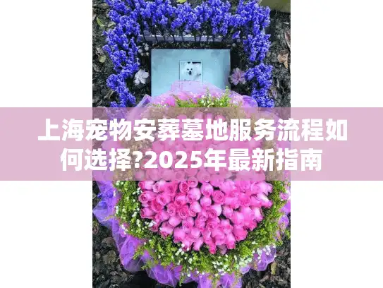 上海宠物安葬墓地服务流程如何选择?2025年最新指南