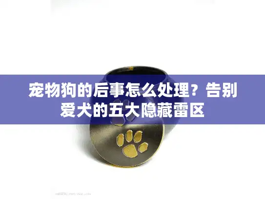 宠物狗的后事怎么处理？告别爱犬的五大隐藏雷区