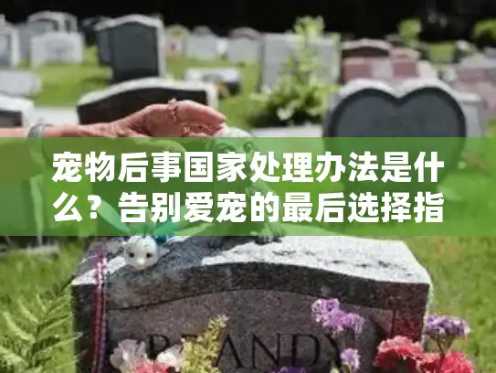宠物后事国家处理办法是什么？告别爱宠的最后选择指南