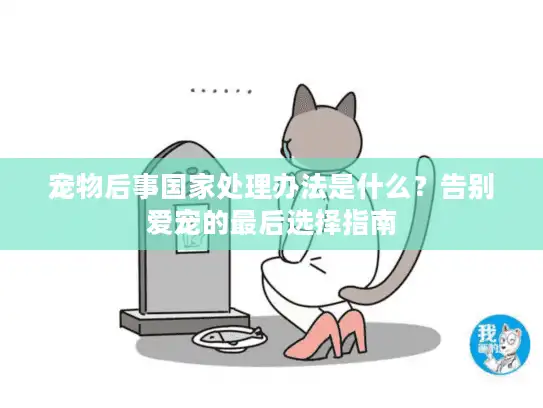 宠物后事国家处理办法是什么？告别爱宠的最后选择指南