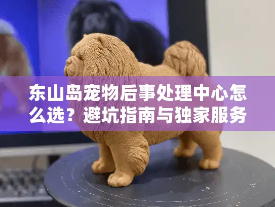 东山岛宠物后事处理中心怎么选？避坑指南与独家服务解析