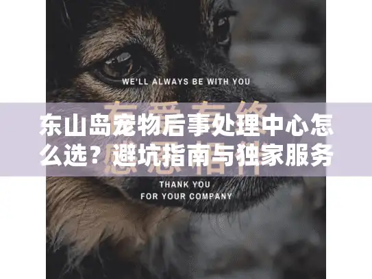 东山岛宠物后事处理中心怎么选？避坑指南与独家服务解析