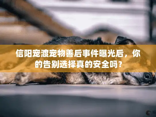 信阳宠渡宠物善后事件曝光后，你的告别选择真的安全吗？