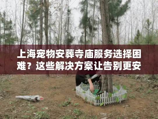 上海宠物安葬寺庙服务选择困难？这些解决方案让告别更安心